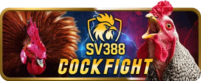 Cá cược trực tiếp và thống kê tại 0king88